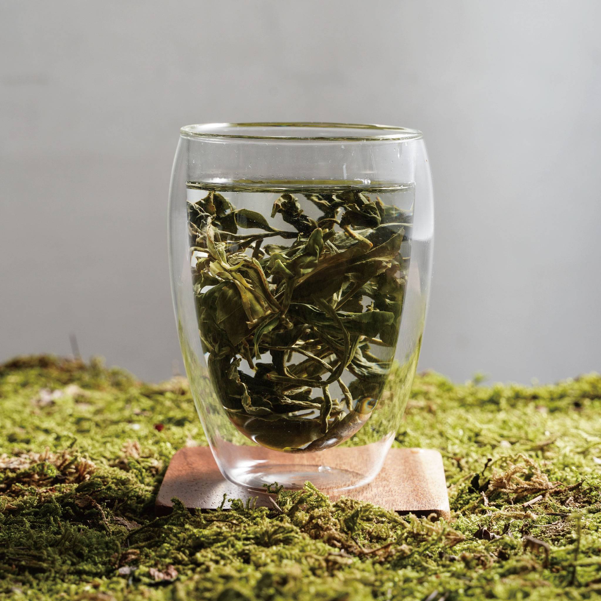 long jing dragon well wet tea leaves floating in cup