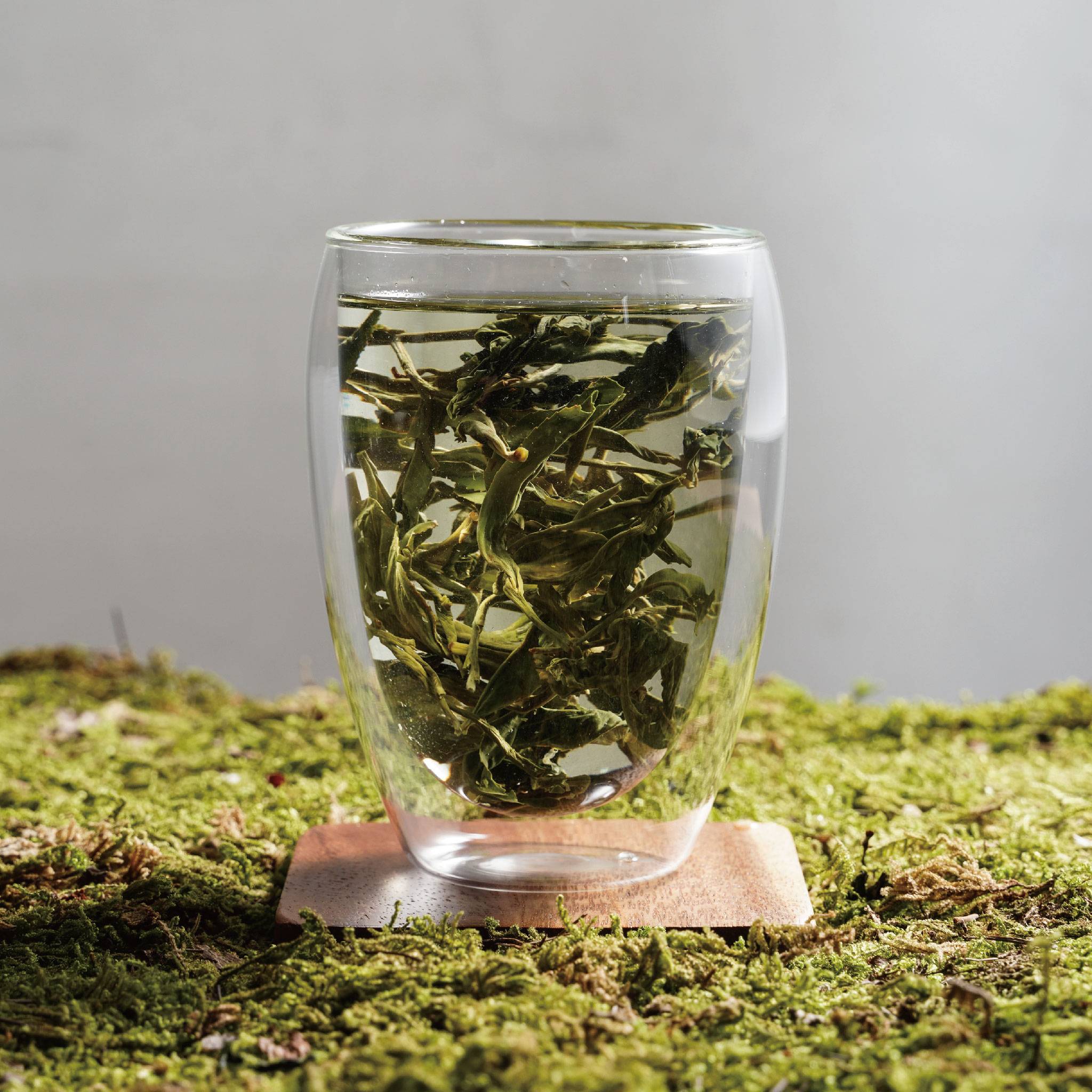 bi luo chun green snail spring wet tea leaves floating in cup